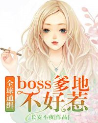 全球通缉：boss爹地不好惹